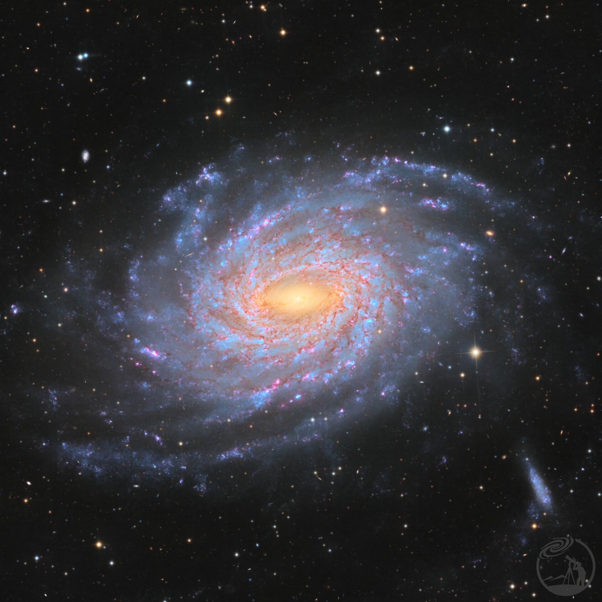 NGC6744 - The Milky Way's Twin