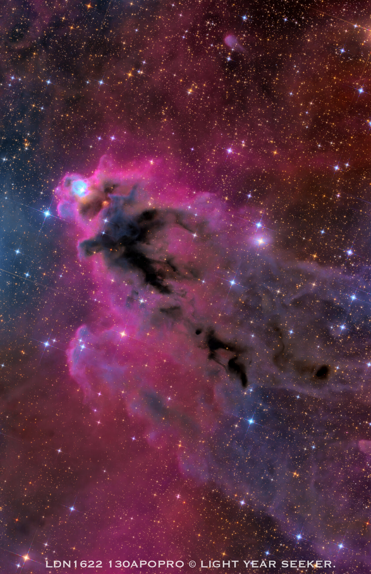 《暗里孕光 心向星途》