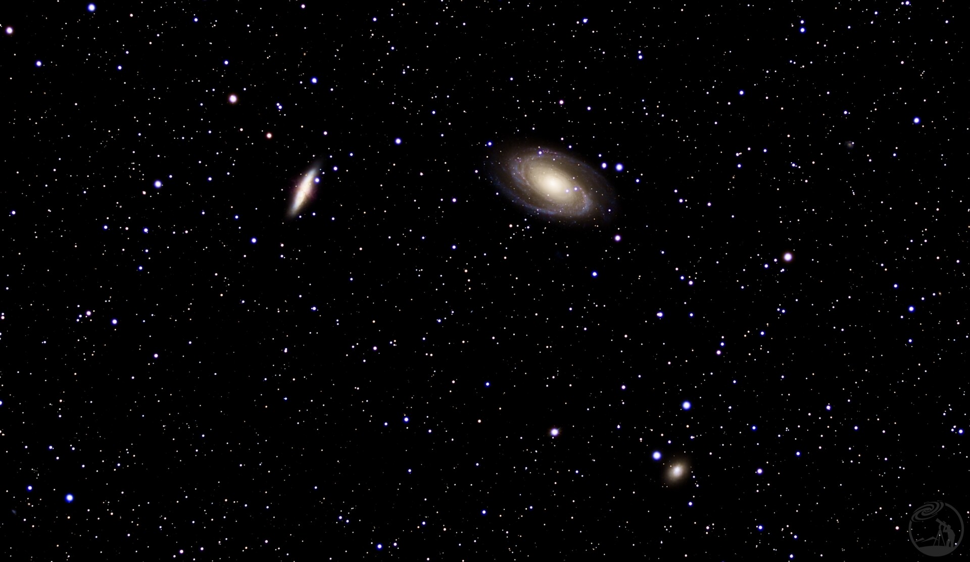 M81