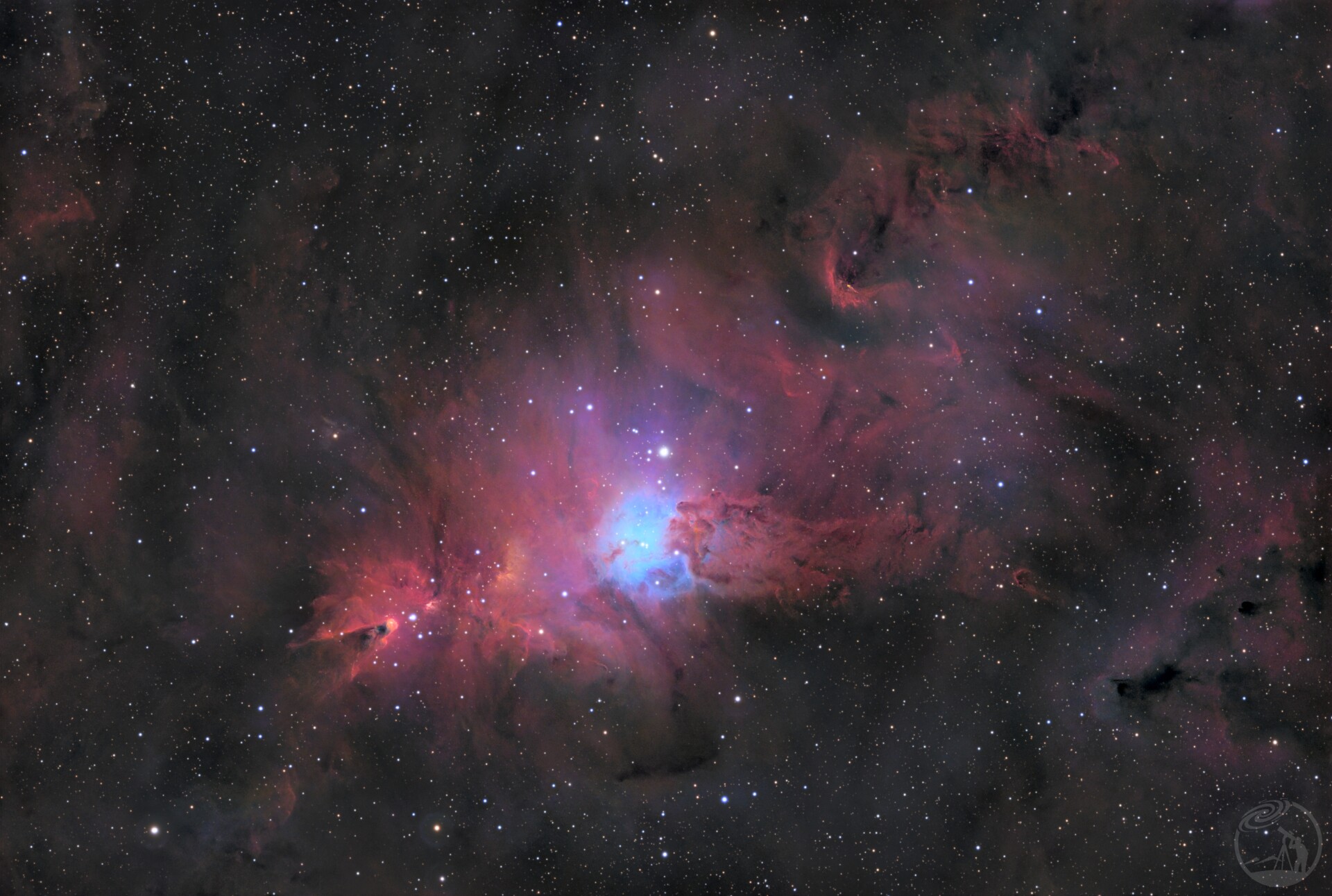 彩机25小时圣诞树星团