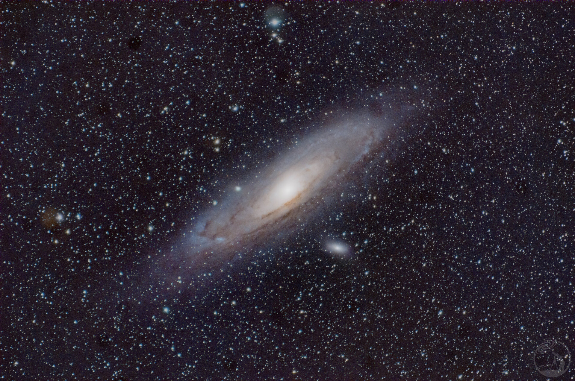 M31