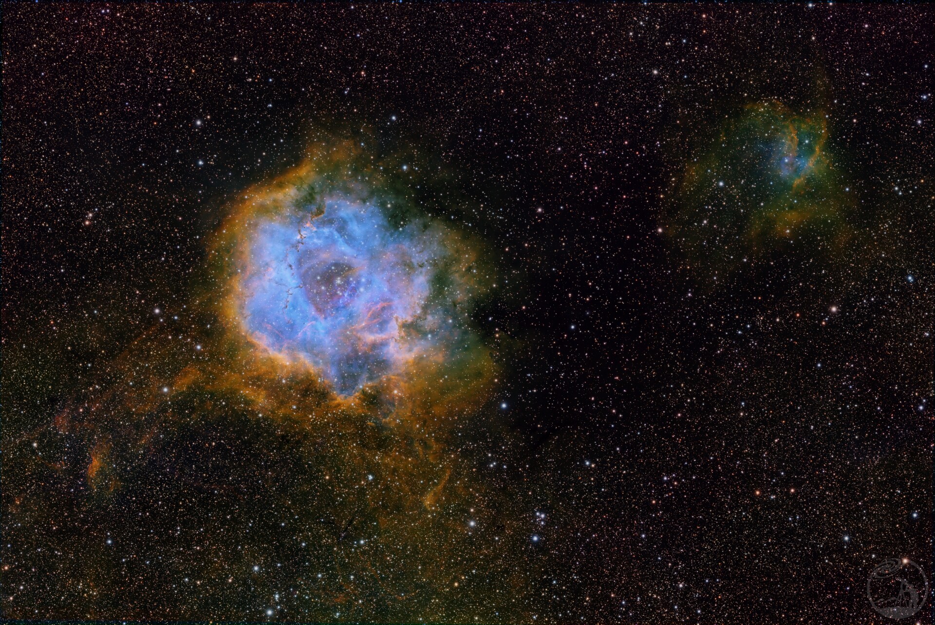 玫瑰星云广域SHO