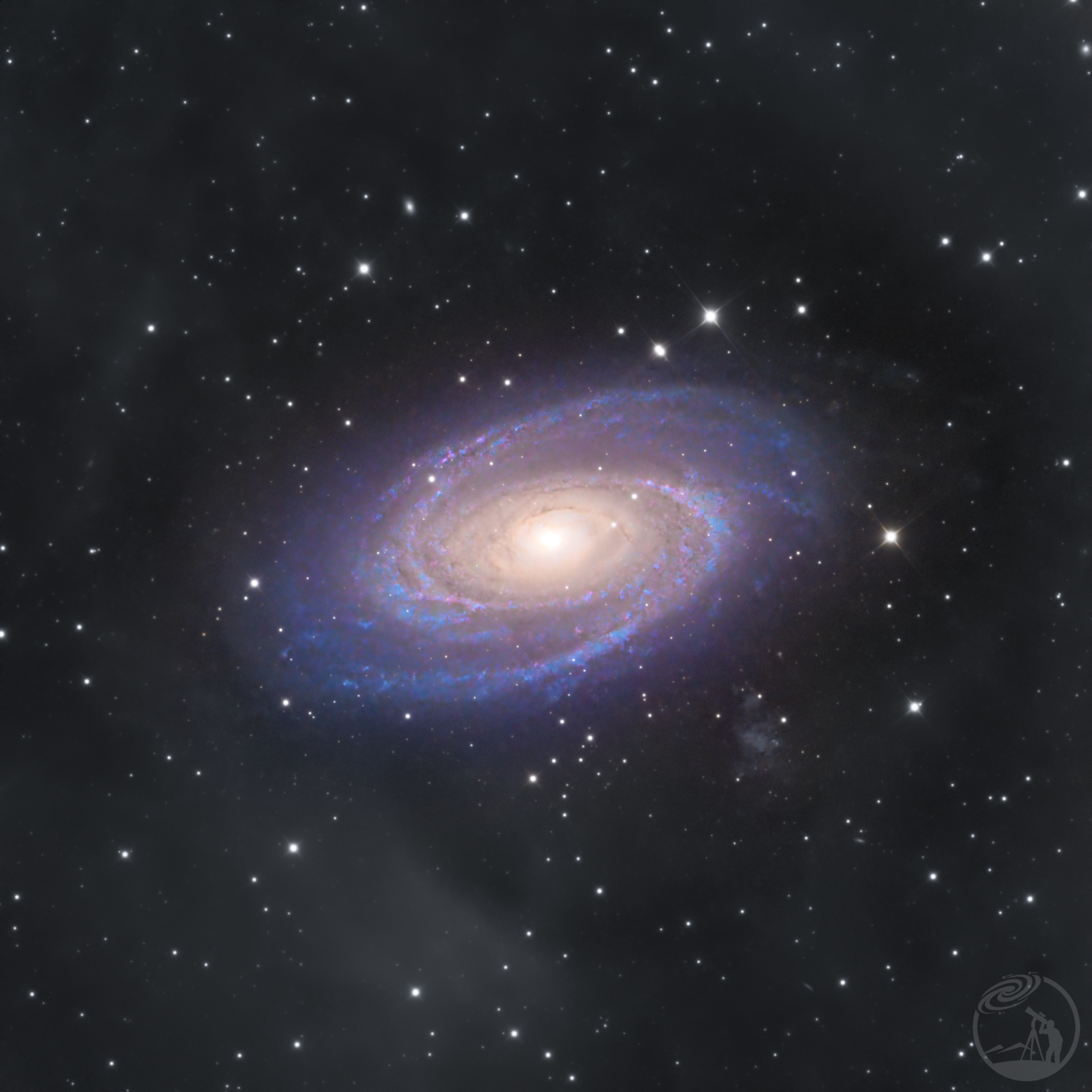 【M81】喇叭沟门打野之二