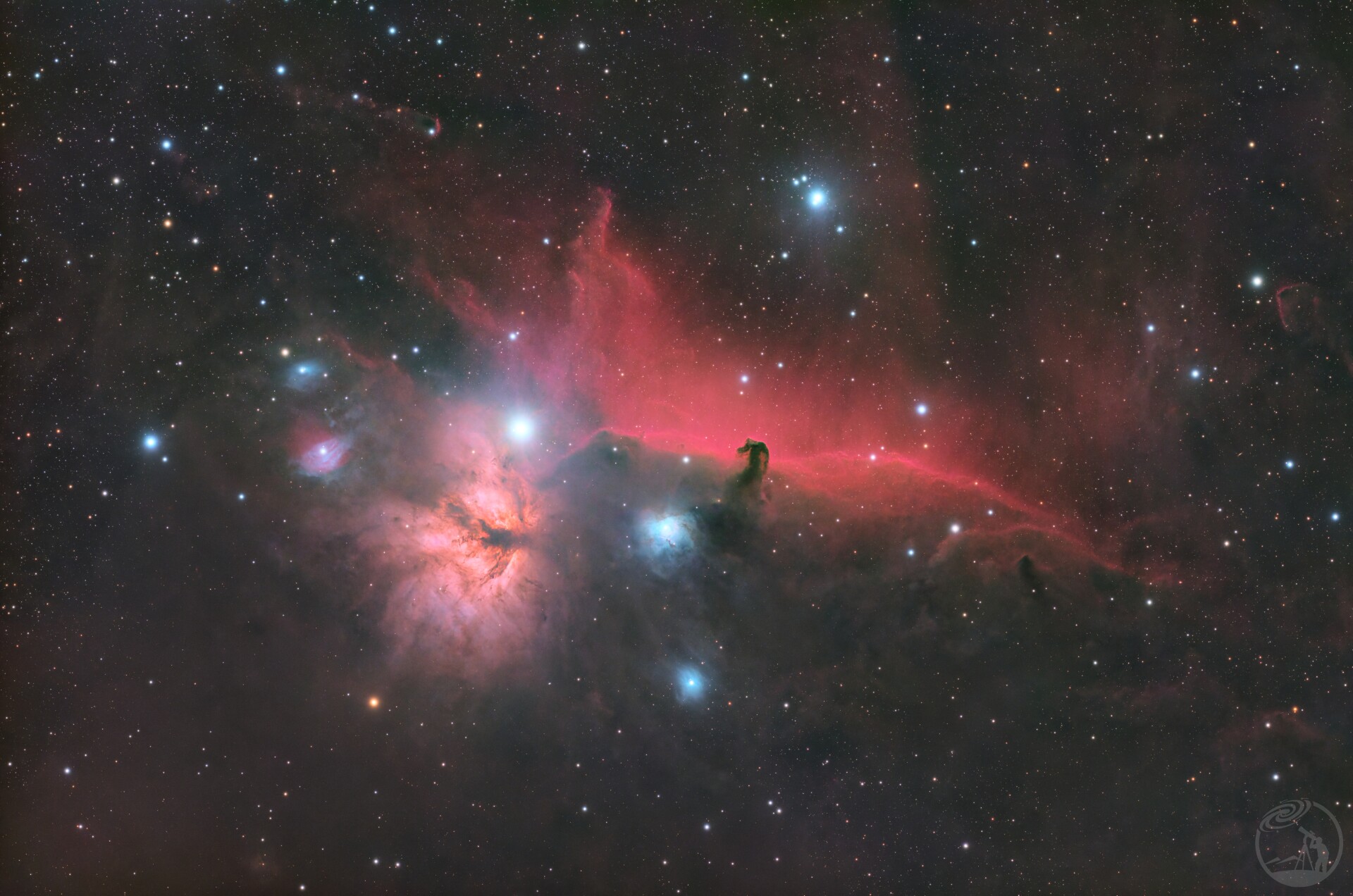 IC434马年拍马头