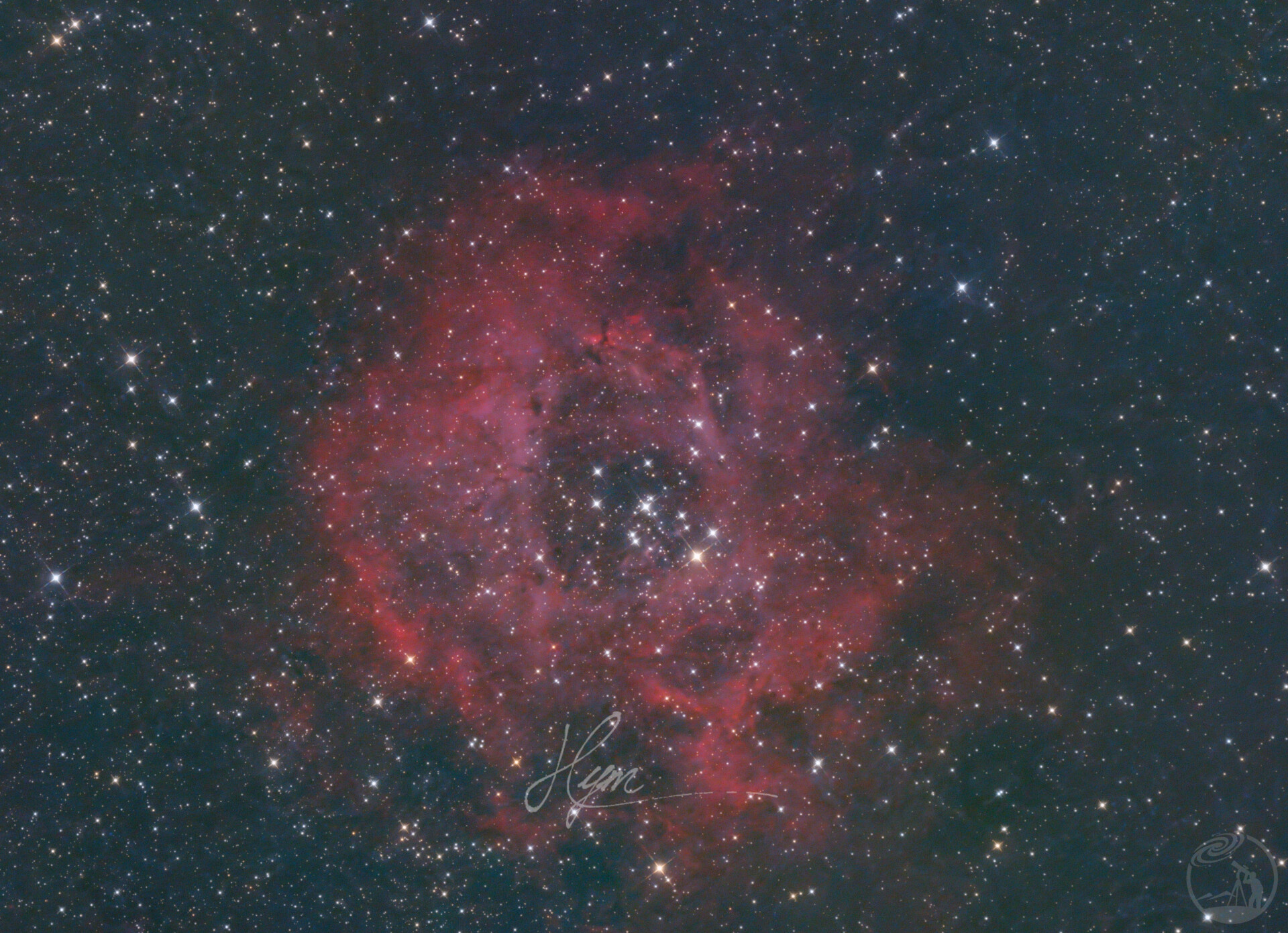 新人出图--玫瑰星云