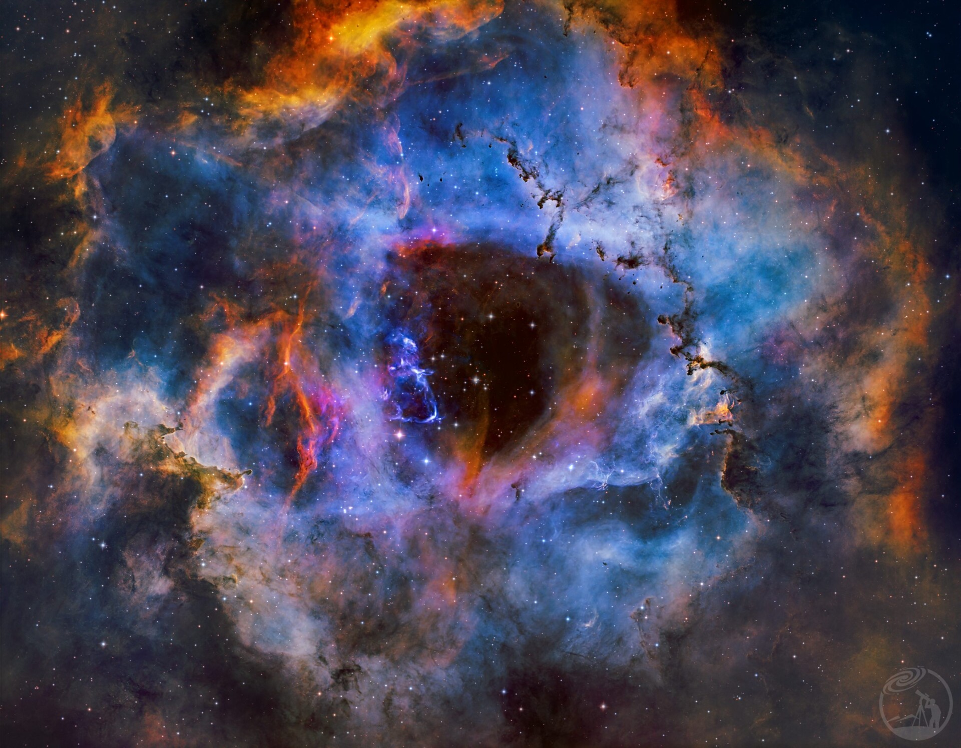 七色玫瑰_SHO混合素材