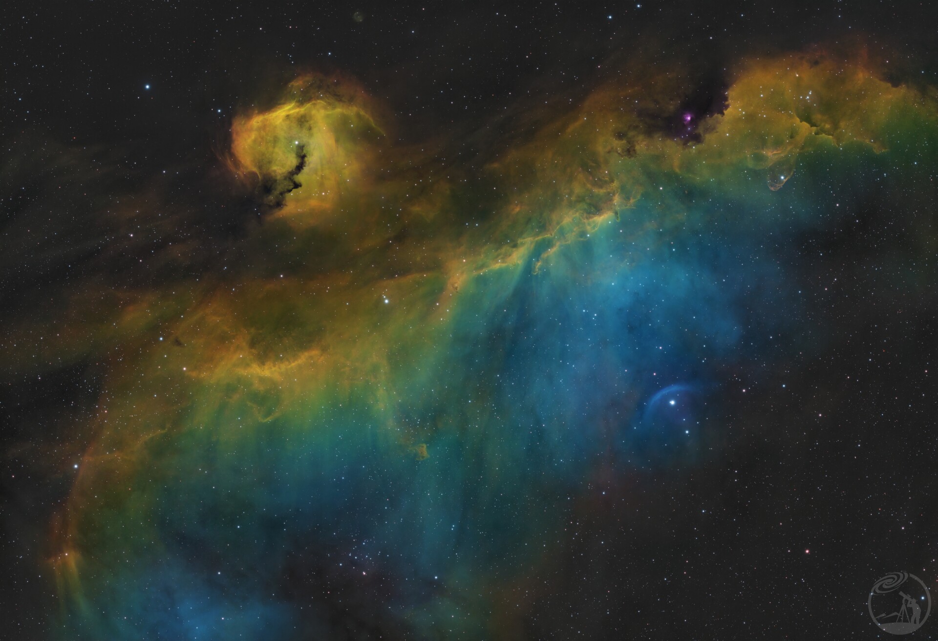 去码头整点薯条吧–海鸥星云