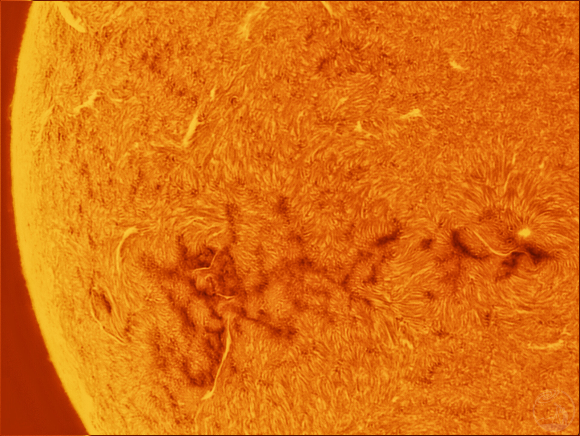 acter40拍摄日面（20260125）
