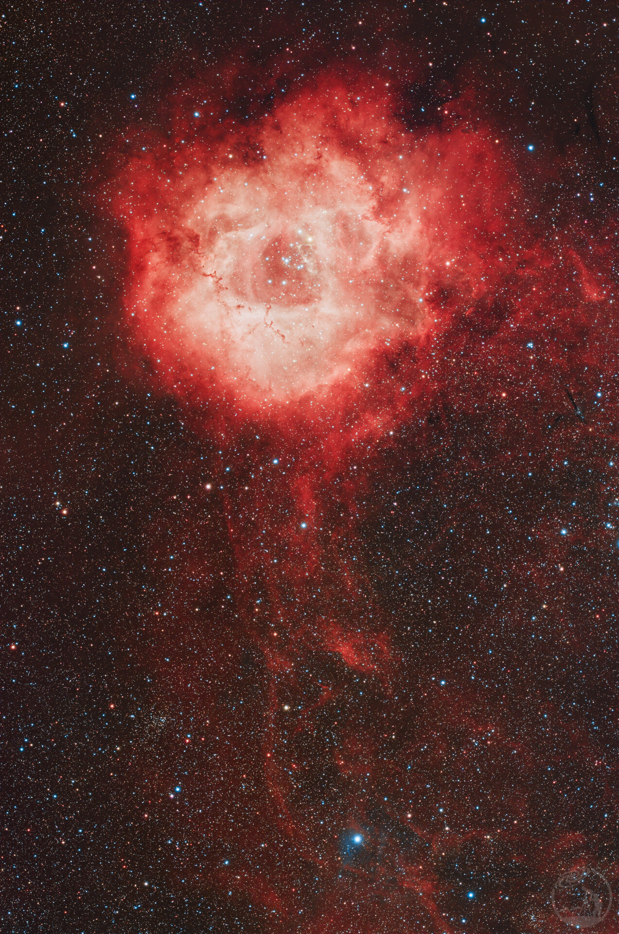 NGC2237玫瑰星云（校准了一下红色）