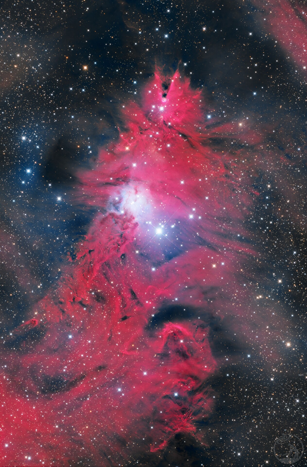 NGC2264圣诞树星团