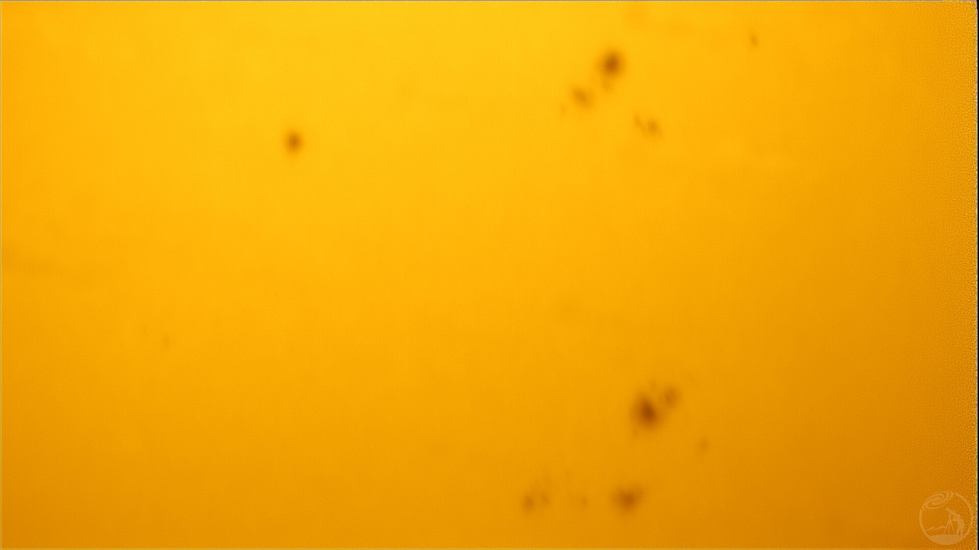 太阳局部黑子（画质拉完了）