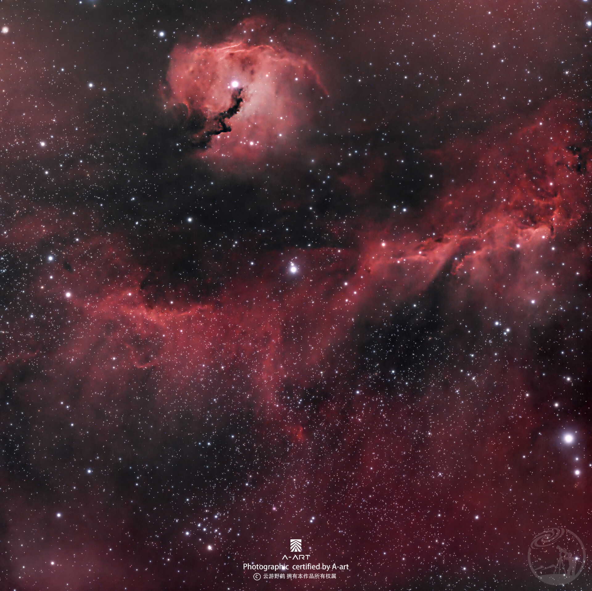 市中心上空的海鸥星云