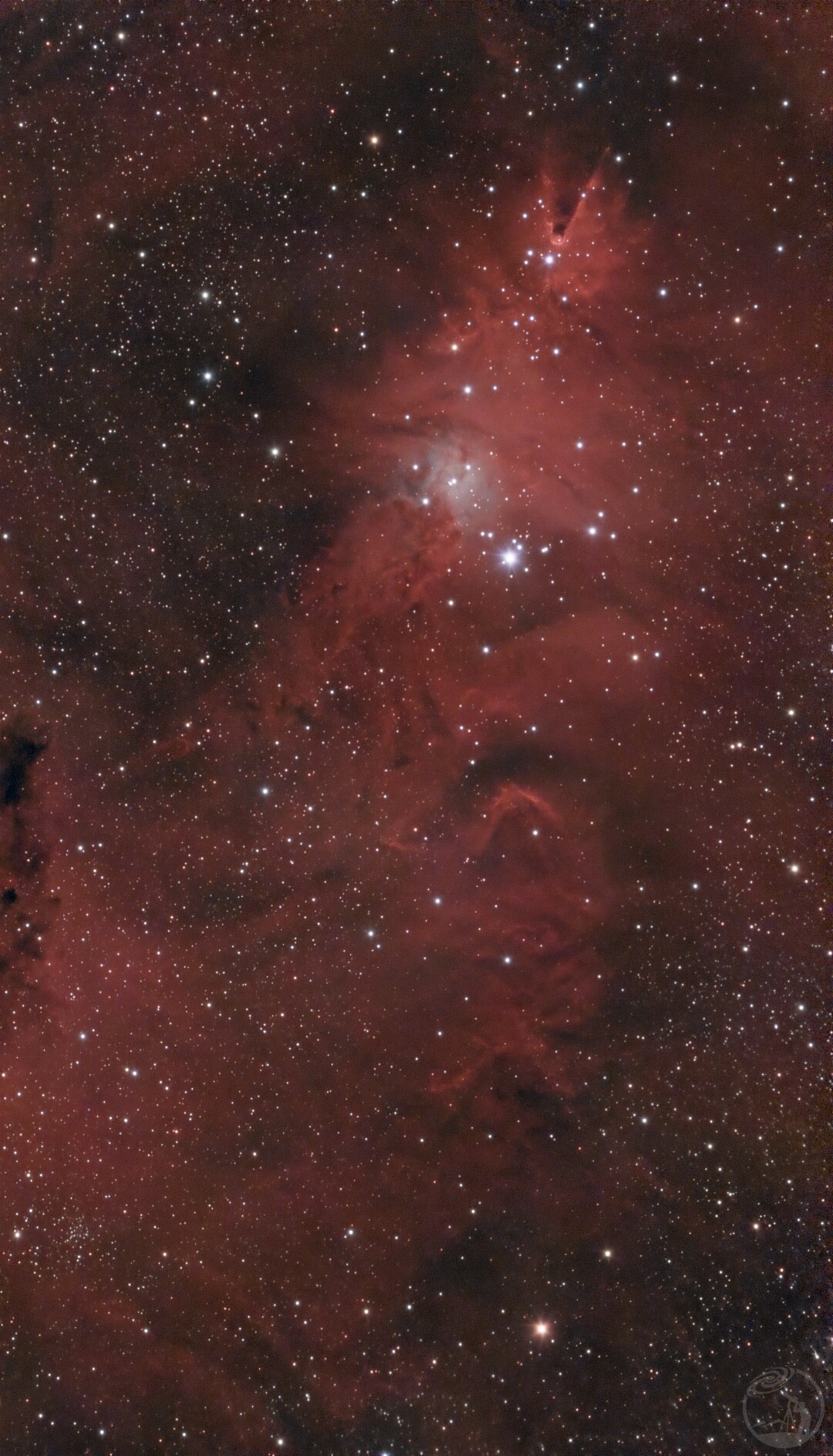 ​Christmas Tree Cluster/NGC 2264
 &
NGC 2259