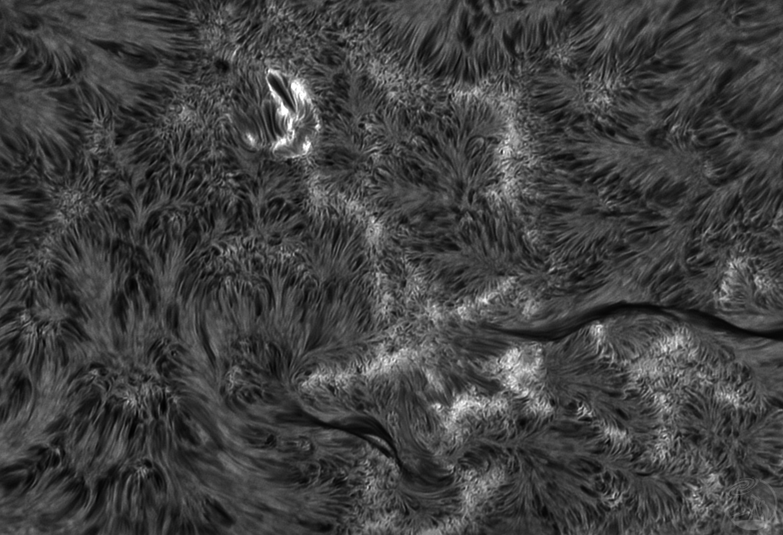 丰富的日面 01-27