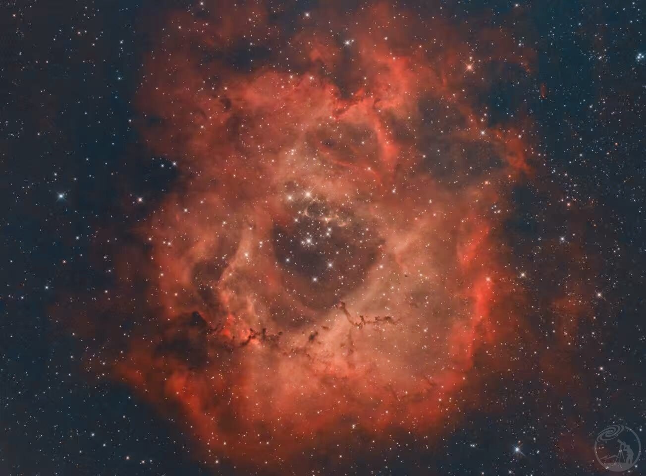 红玫瑰、蓝玫瑰