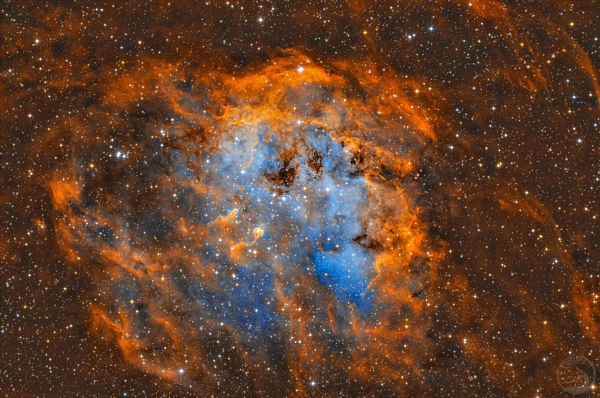 IC 410(小蝌蚪星云) 