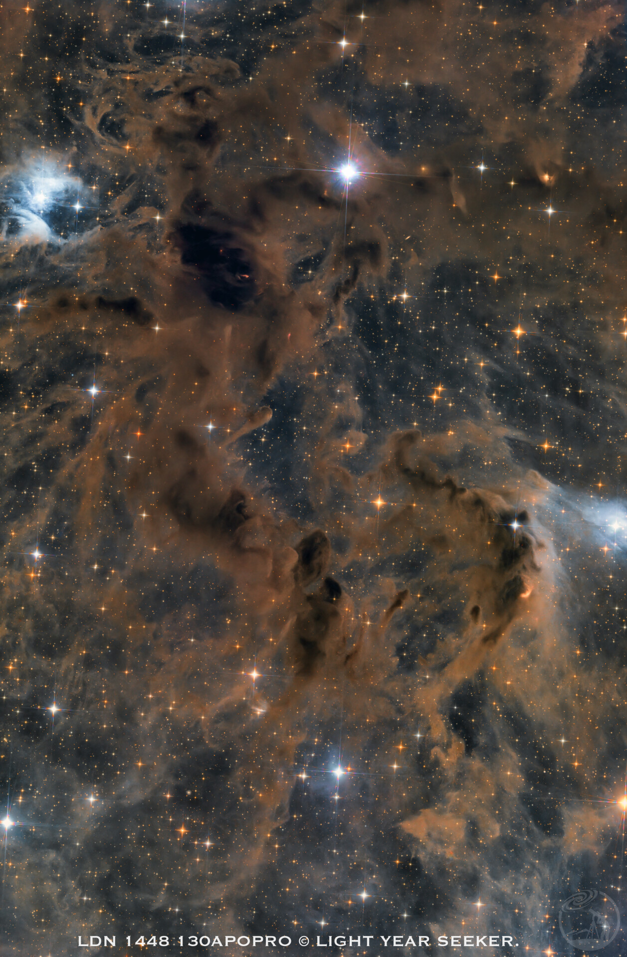 《宇宙湖畔下的光年之树》