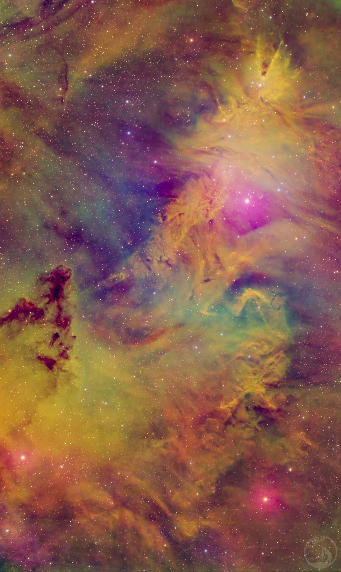 迟到的圣诞礼物，NGC2264圣诞树星团