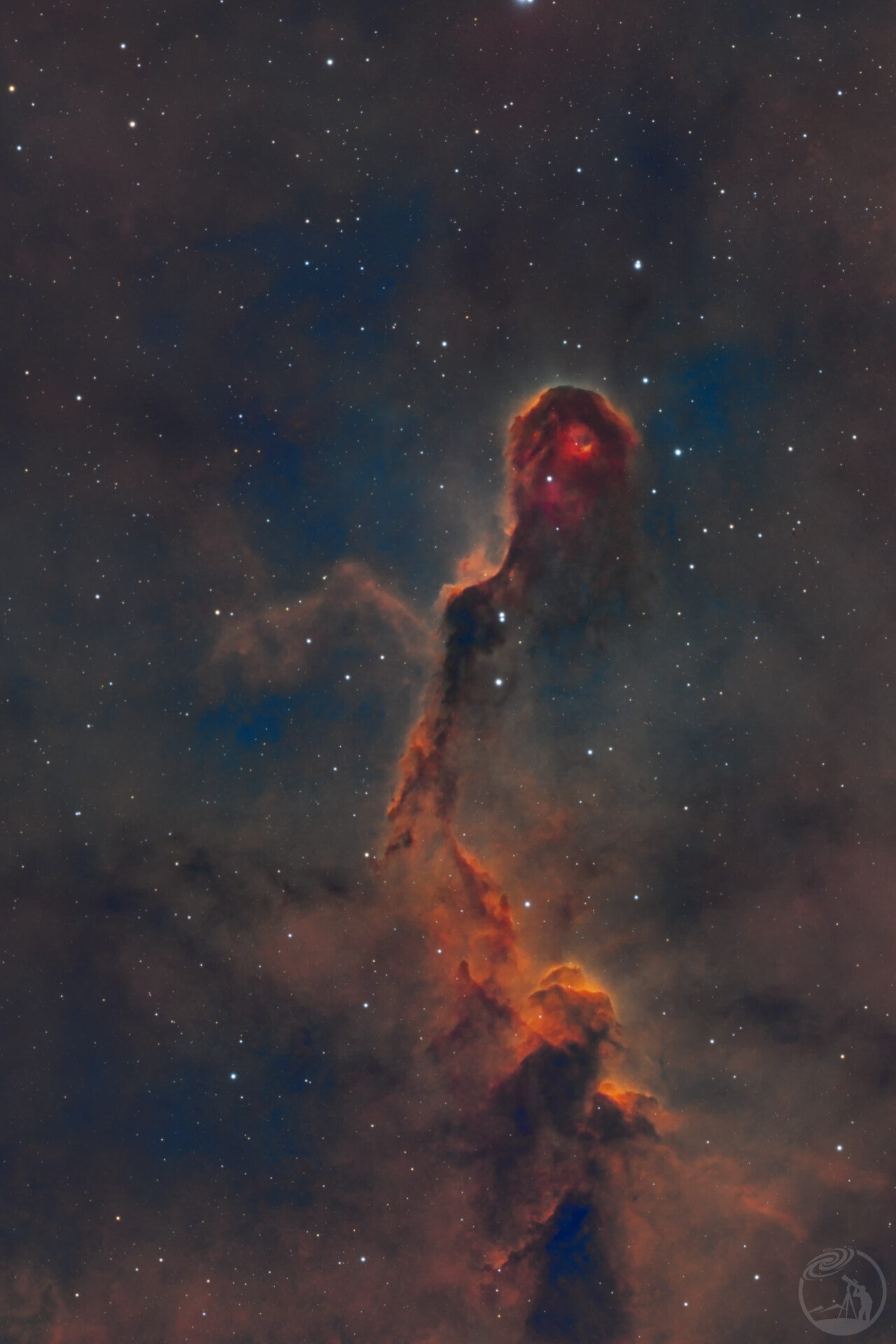 IC1396