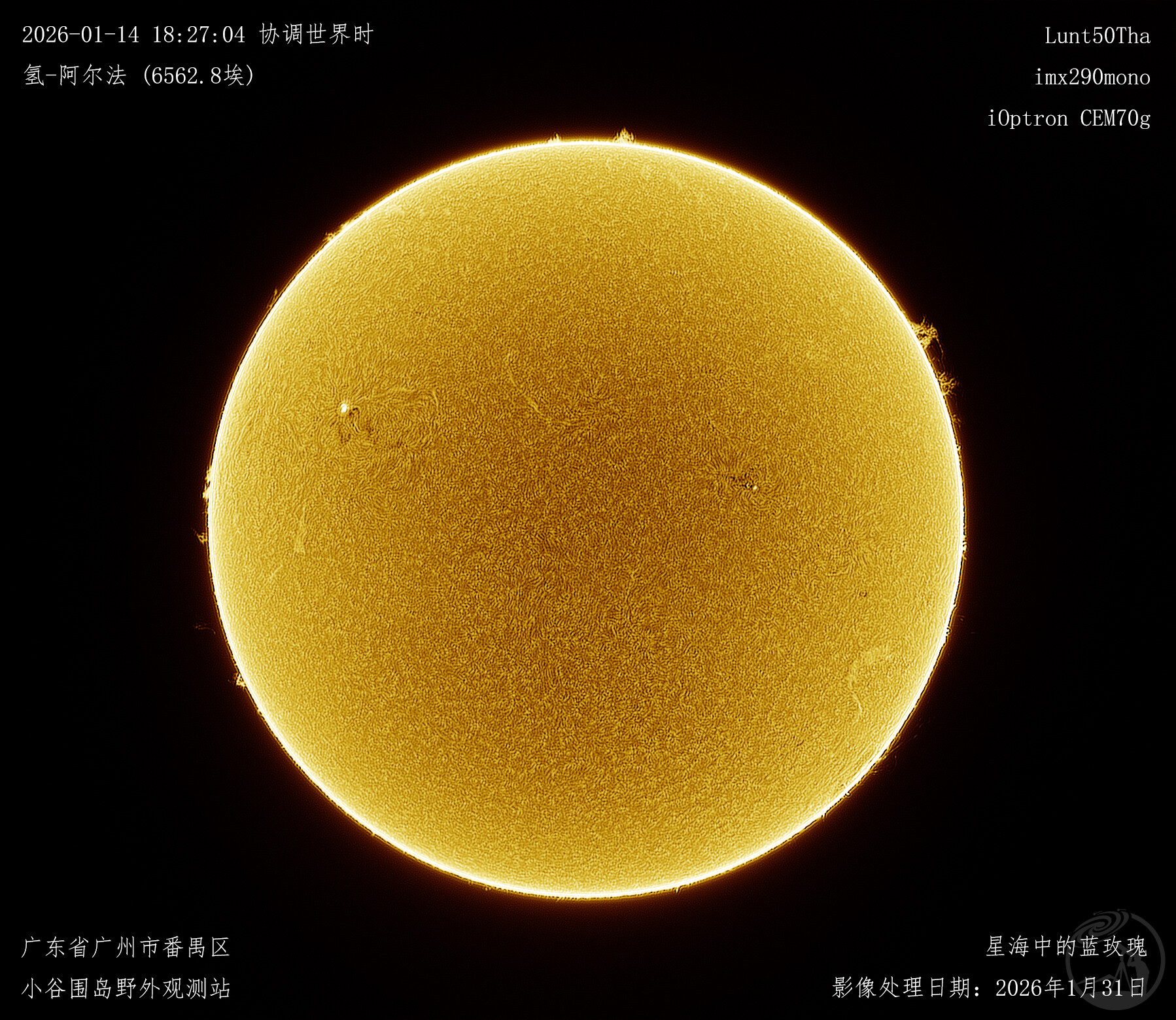 1月14日 日面色球层