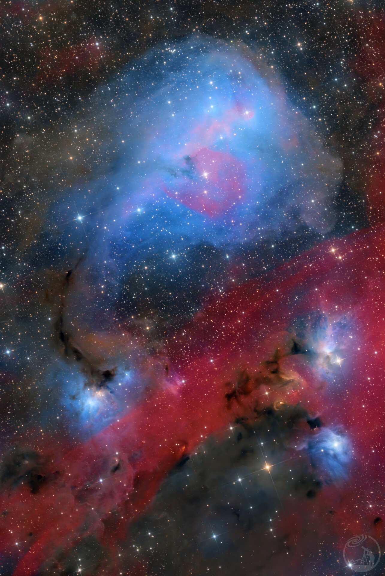 乘风破浪小蓝鲸