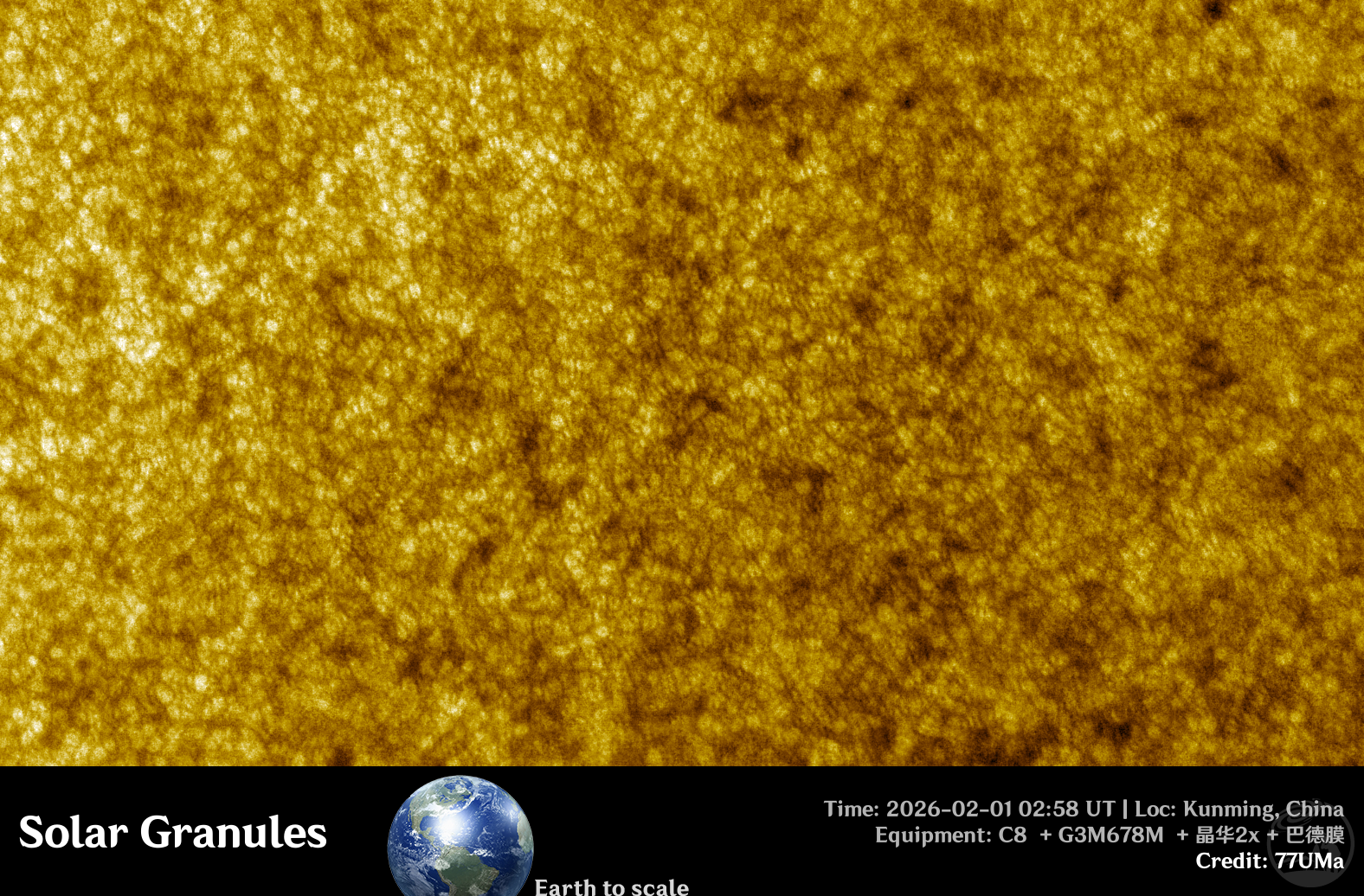 2月1日米粒组织