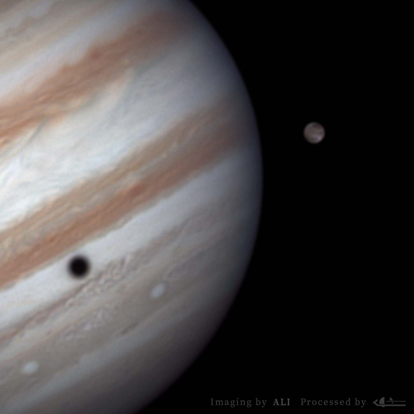 卫影乾坤·木卫三凌木