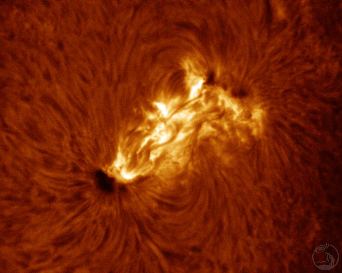 20260202大耀斑X8.1