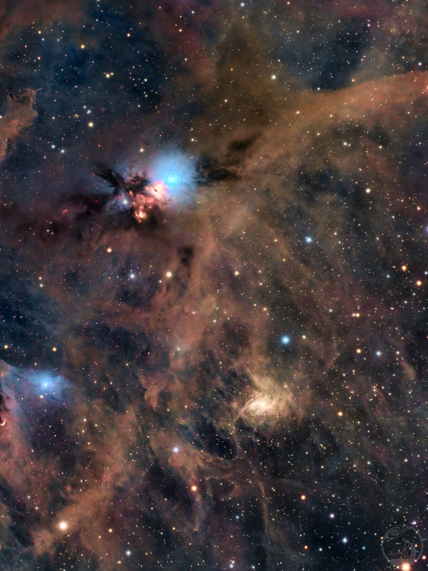 胚胎星云 NGC 1333