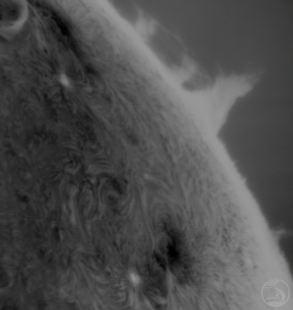 20260202大耀斑X8.1（反相）