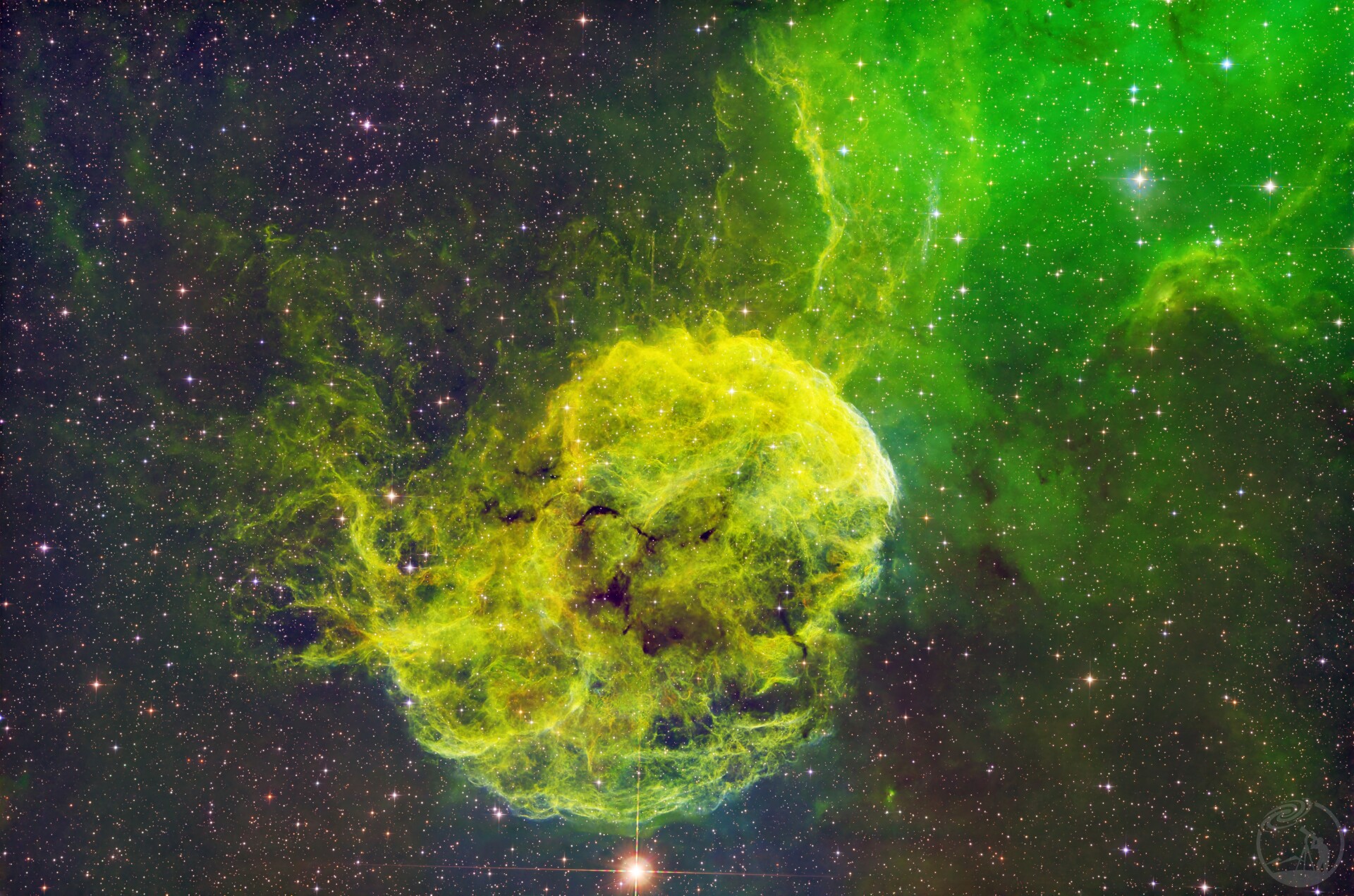 潜在宇宙中的大水母