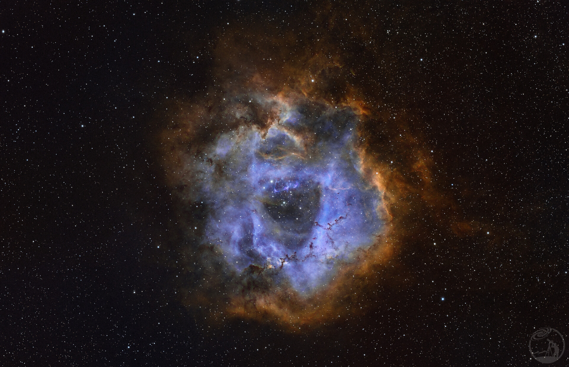 玫瑰星云彩机SHO