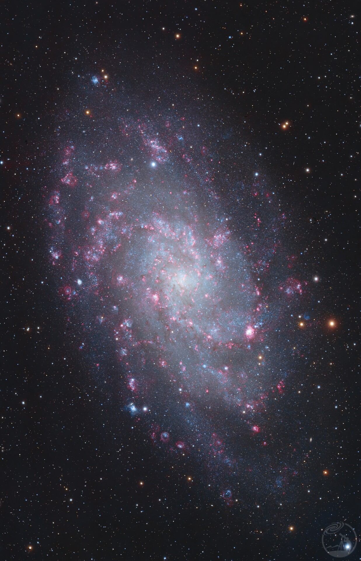 M33