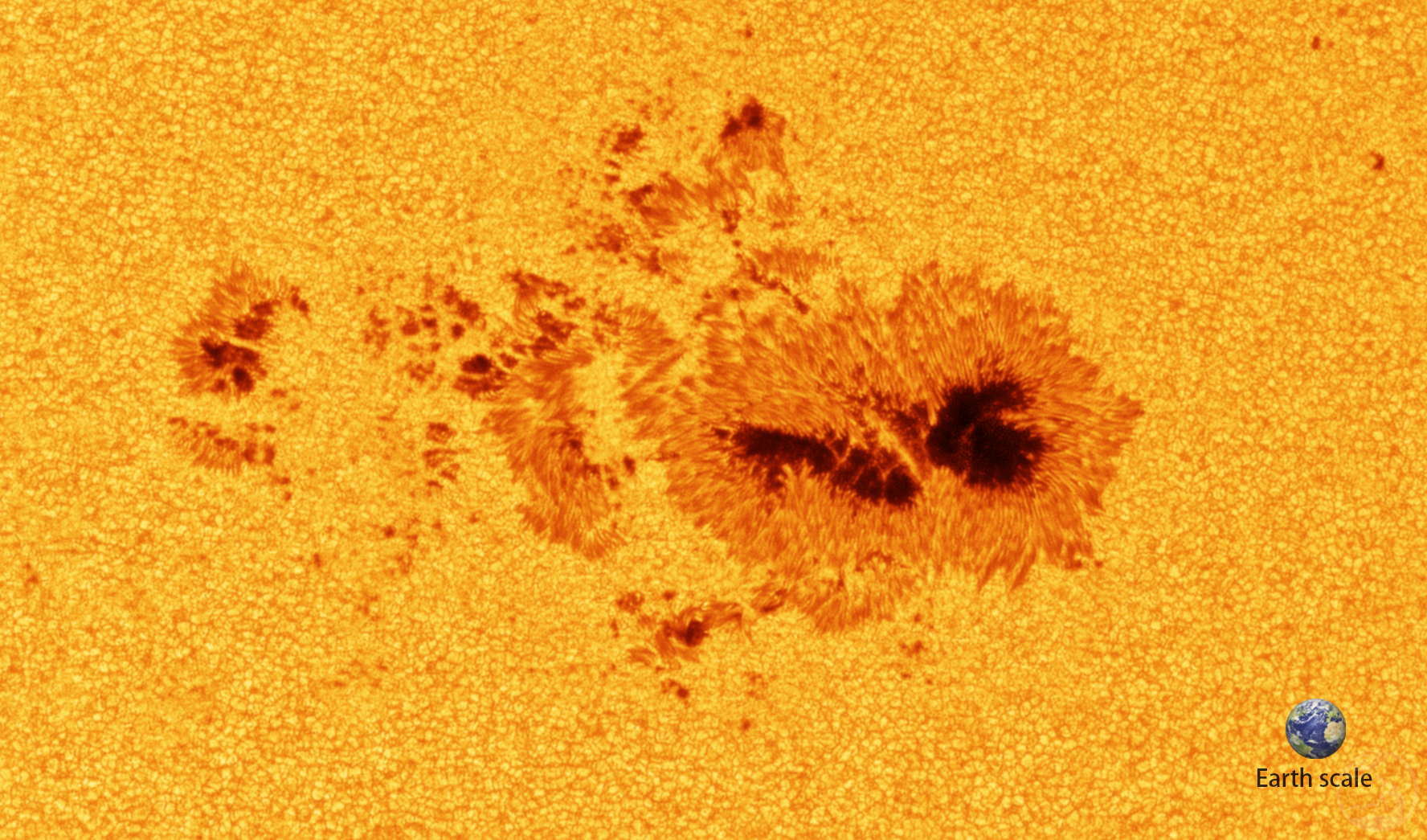 8寸光球摄影集锦·25年5月6月