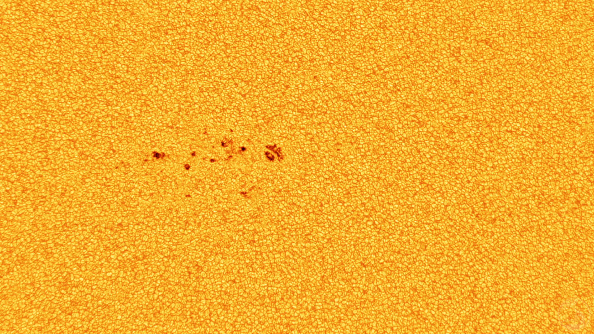 8寸光球摄影集锦·25年5月6月