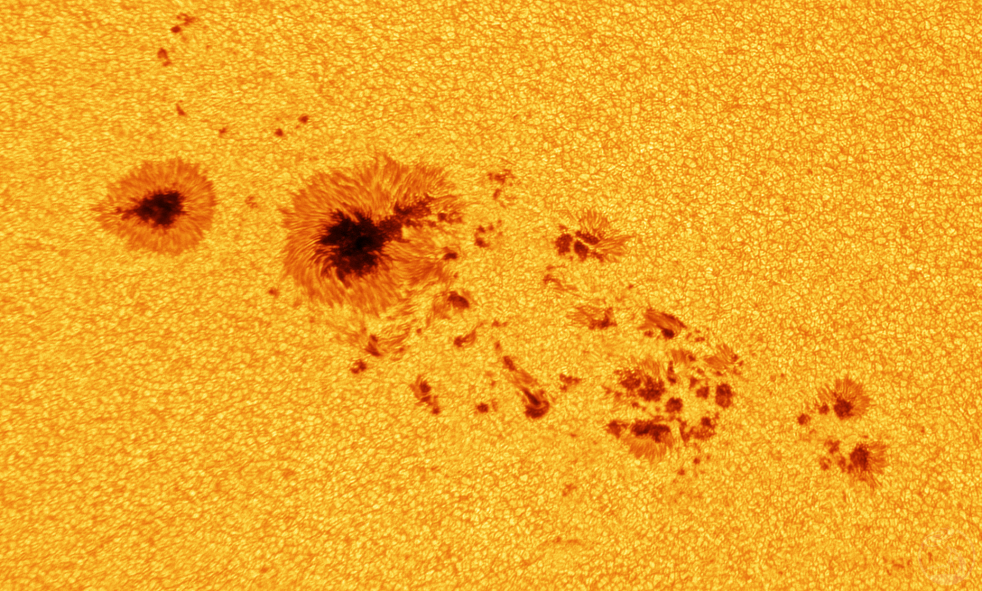 8寸光球摄影集锦·25年5月6月