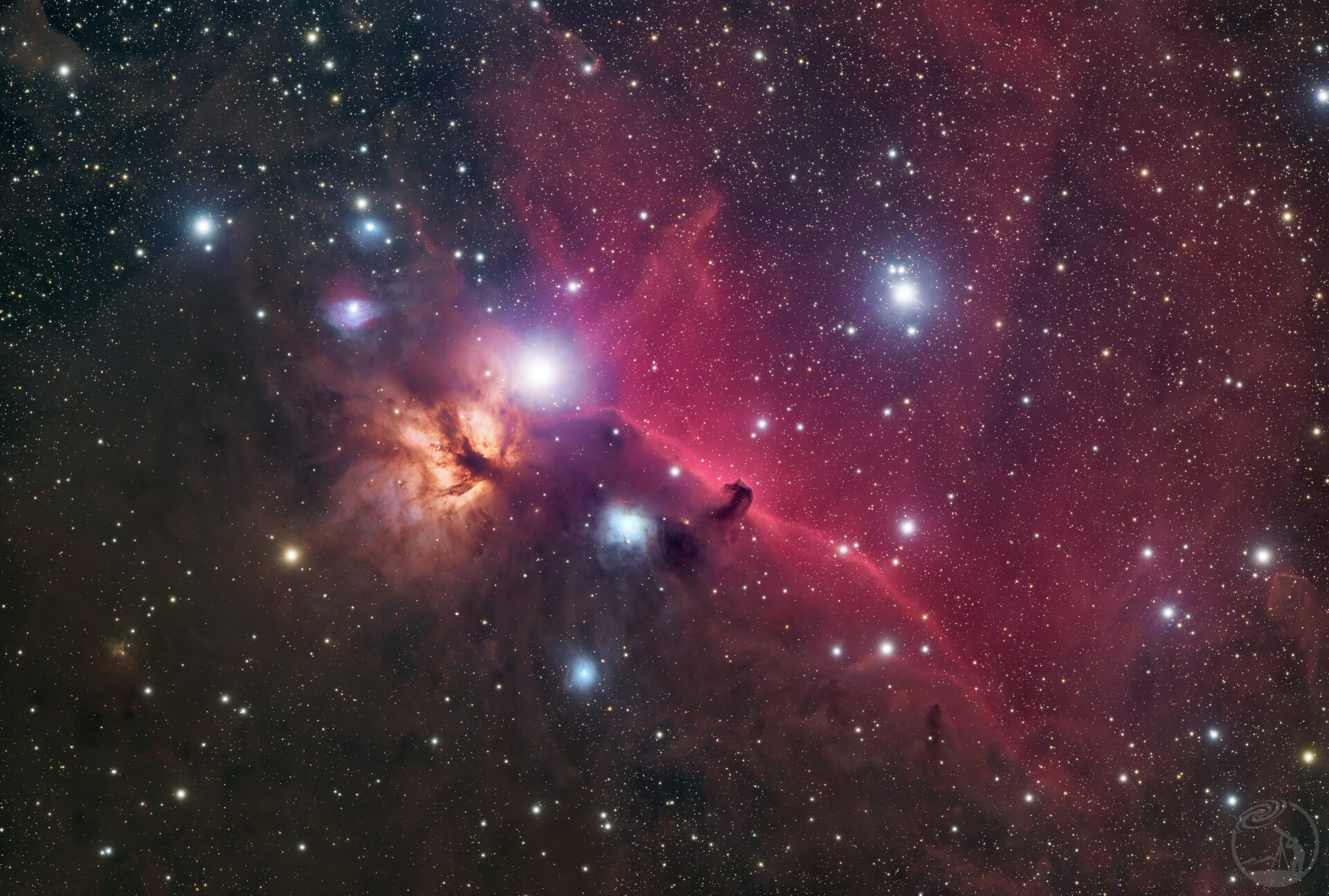 马年拍马头，万事不用愁