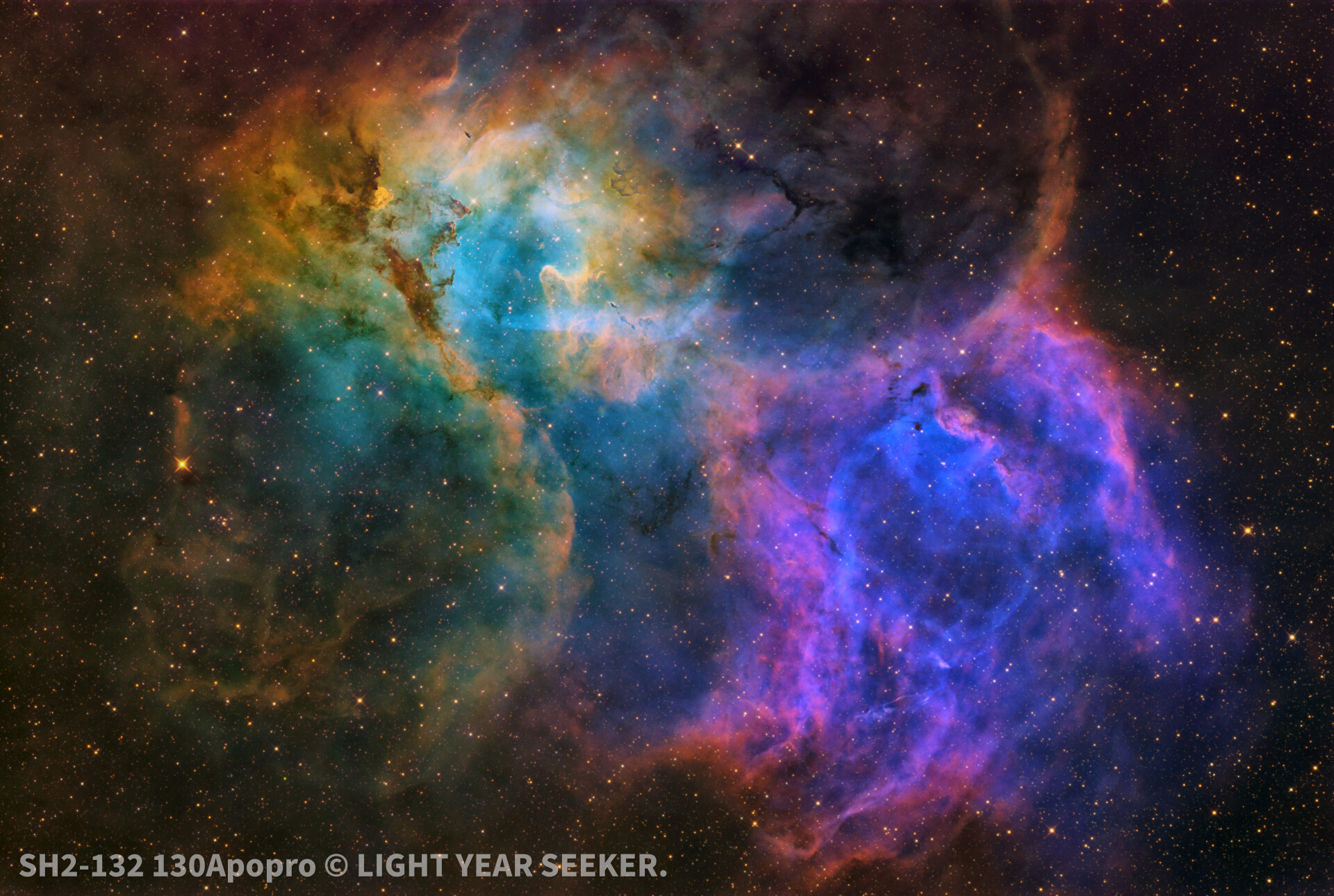 《莫奈花园的梦幻蓝狮》