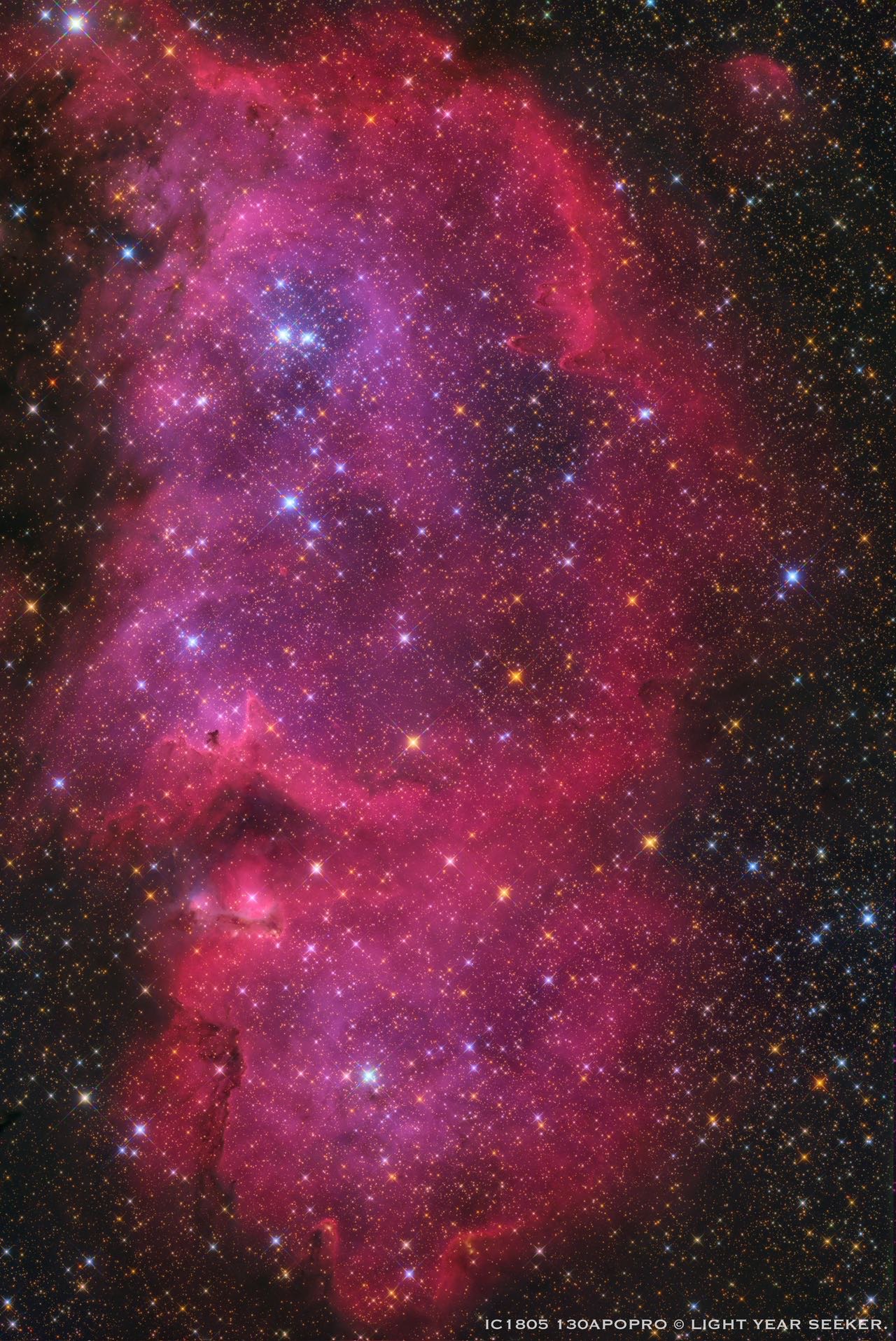 【黑区打野素材】ic1848