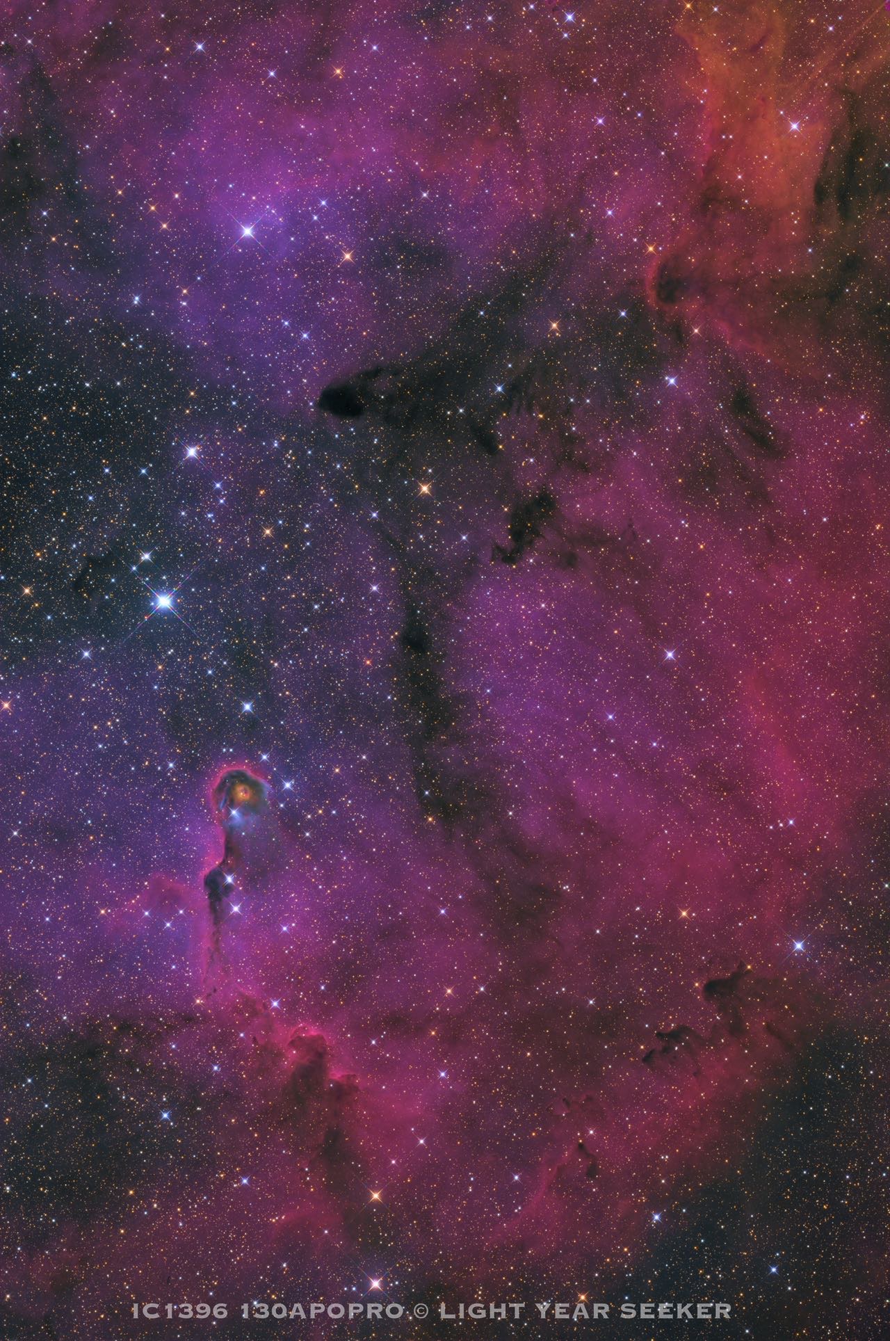 【黑区打野素材】ic1396