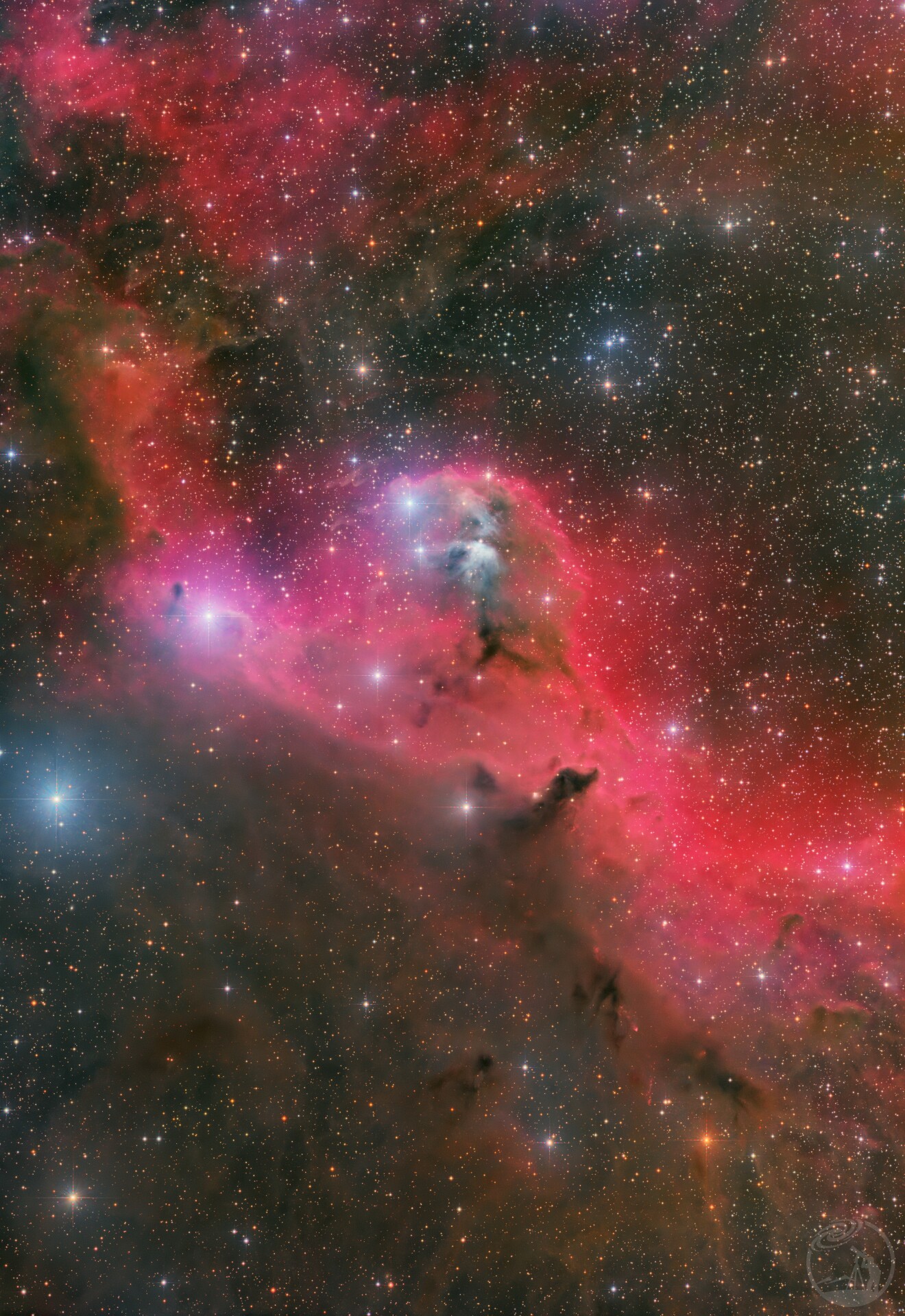 群星下飞翔的烈焰鸟