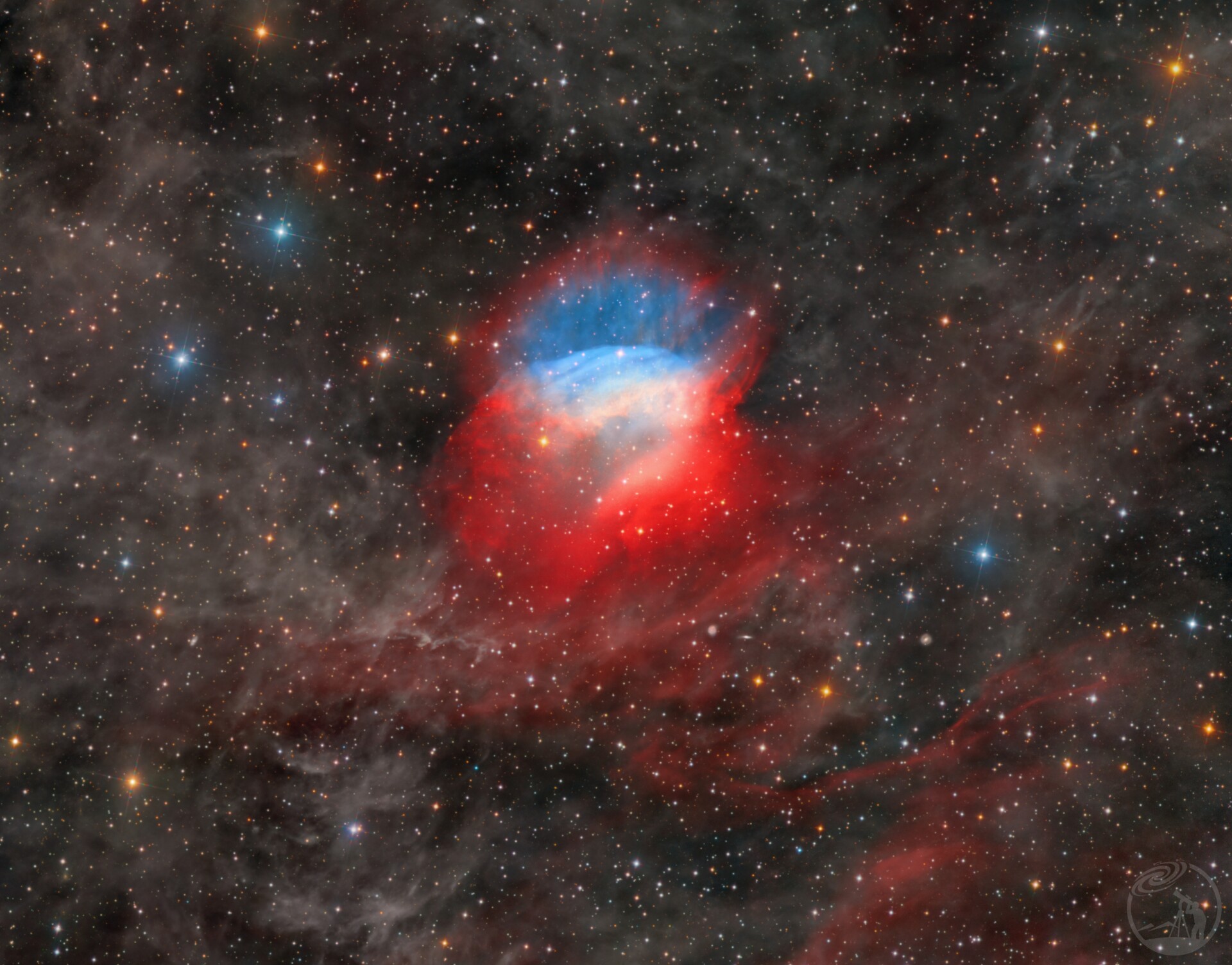 SH2-174情人节玫瑰