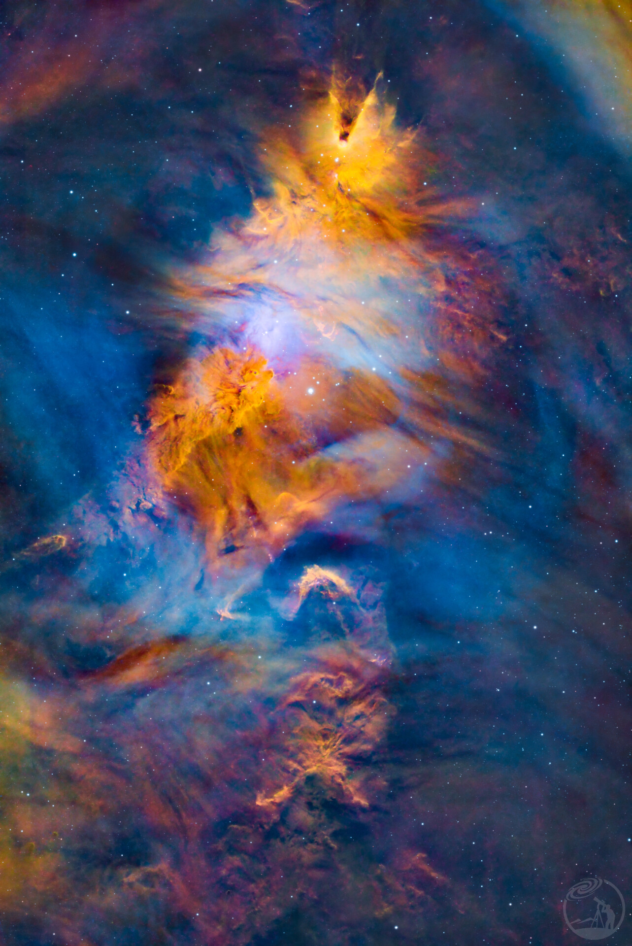 迟到的圣诞树星云