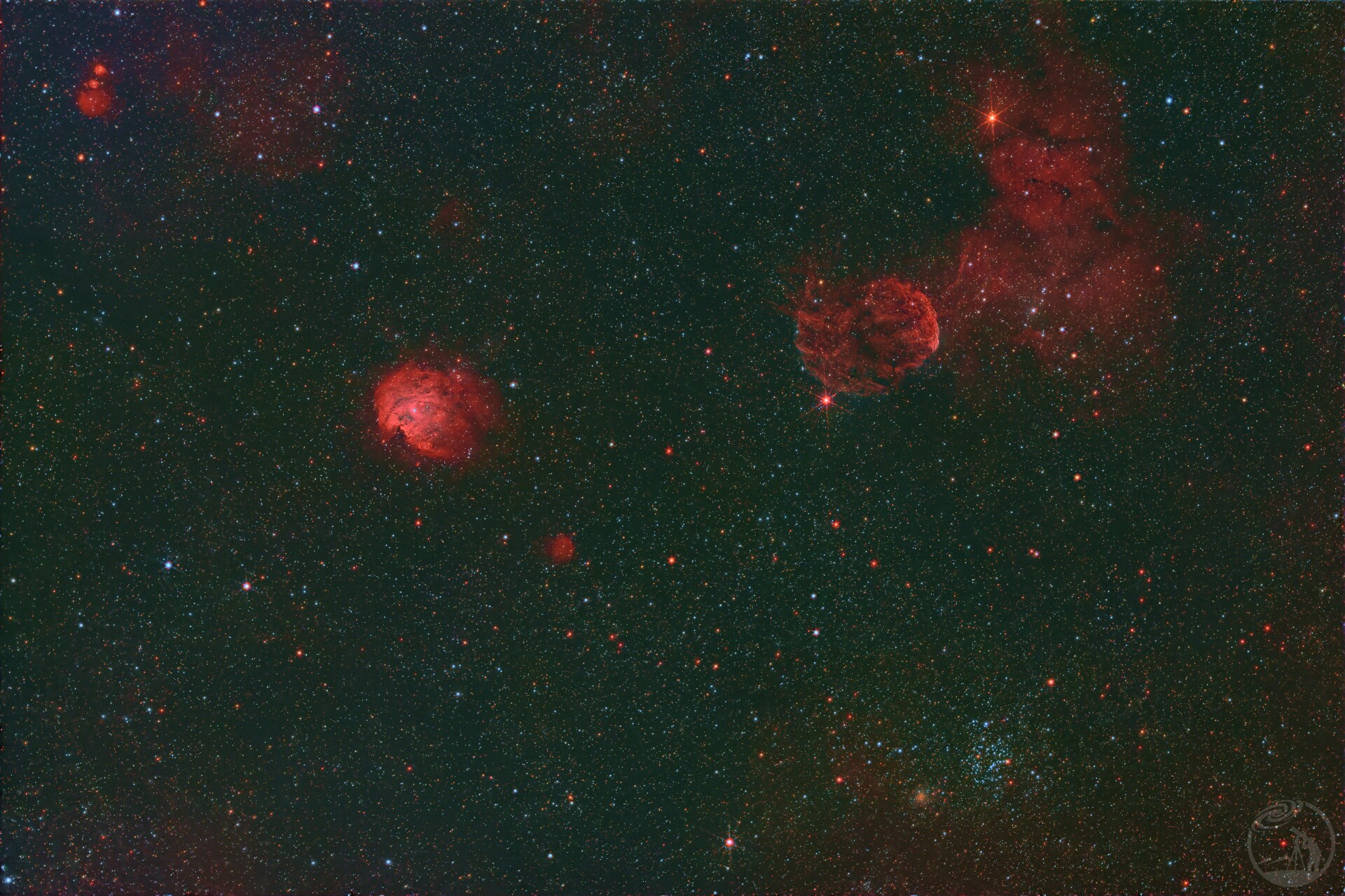 猴头和水母同框