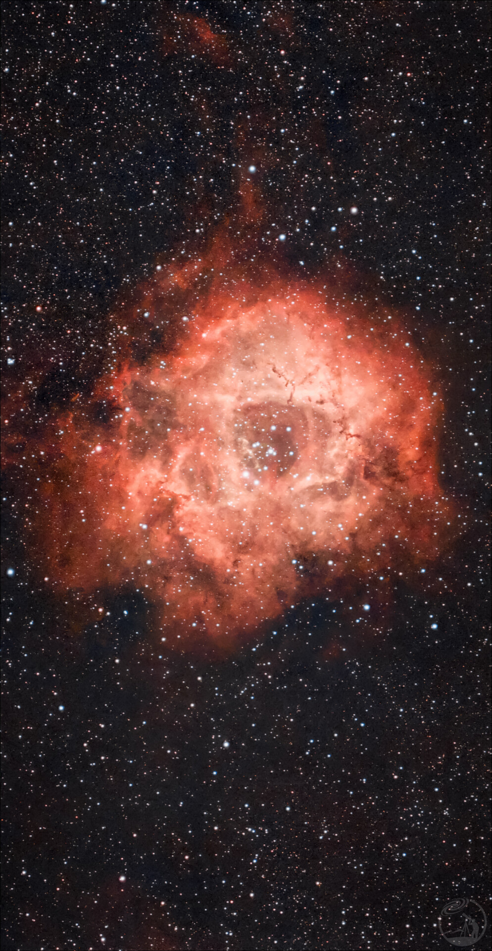 S30pro玫瑰星云C50