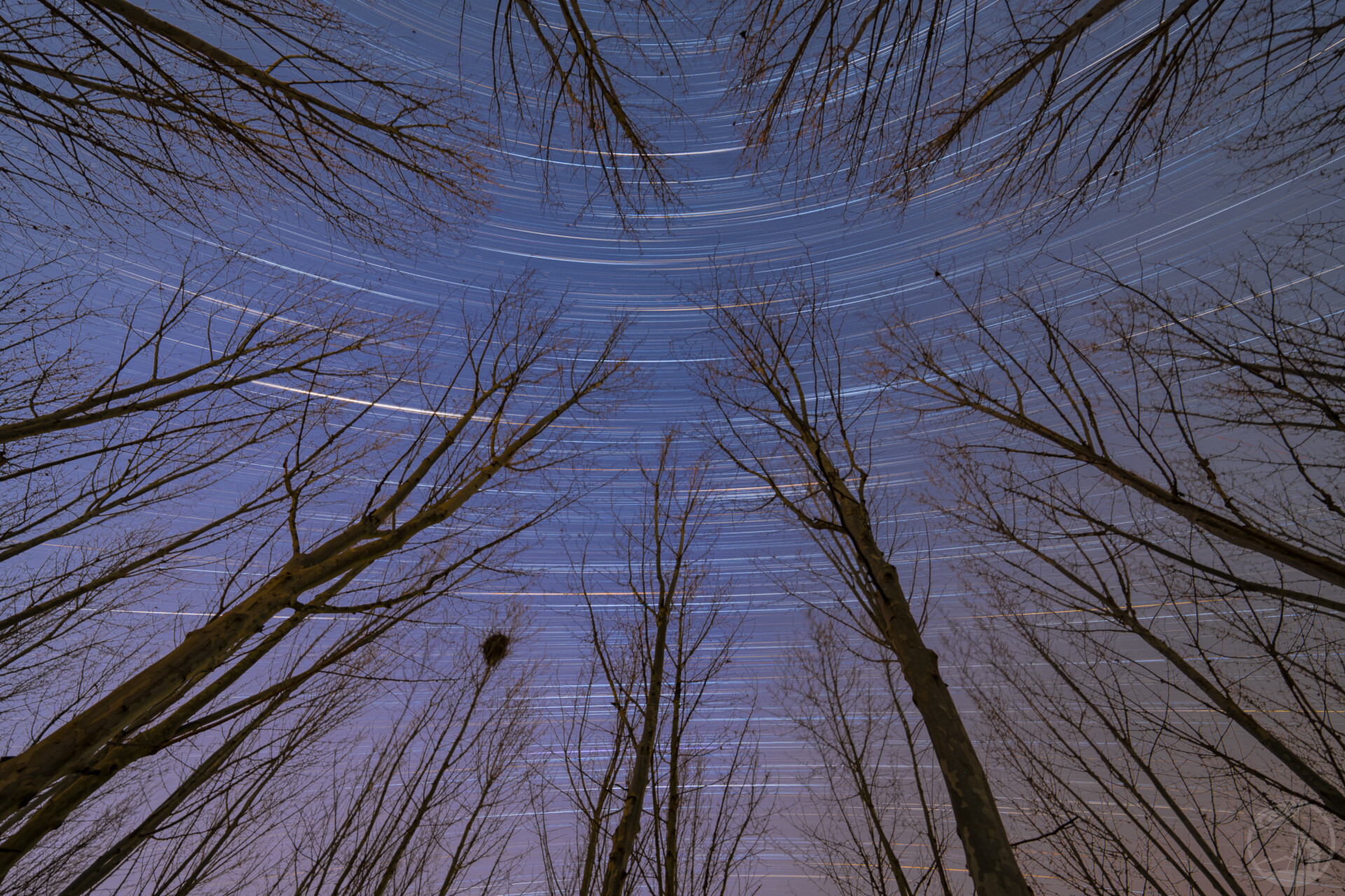 星河流转，共织时光之网