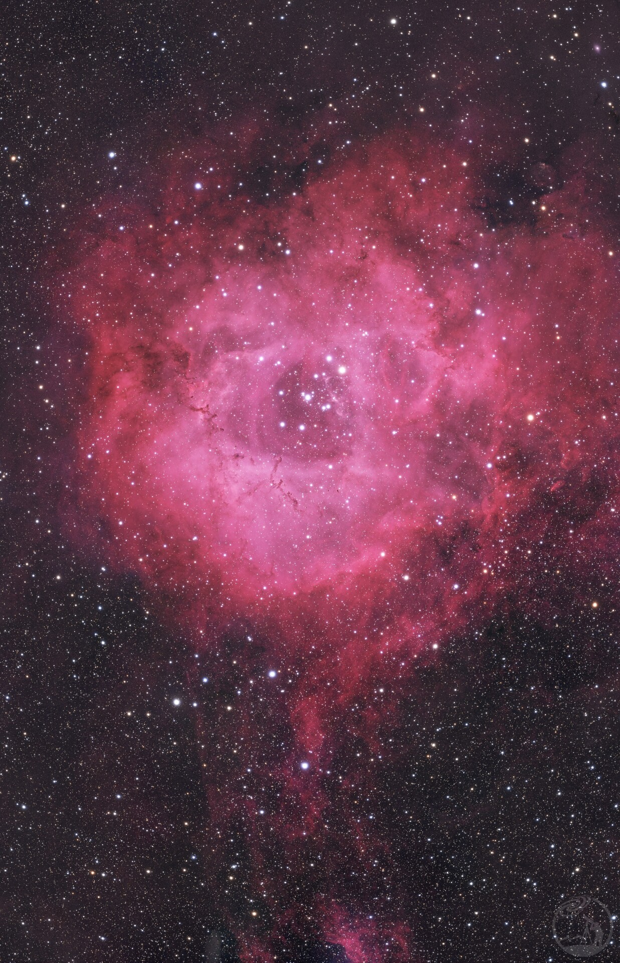 情人节送你一朵ngc2237玫瑰星云