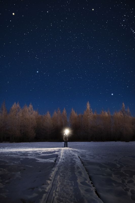 Noctivision