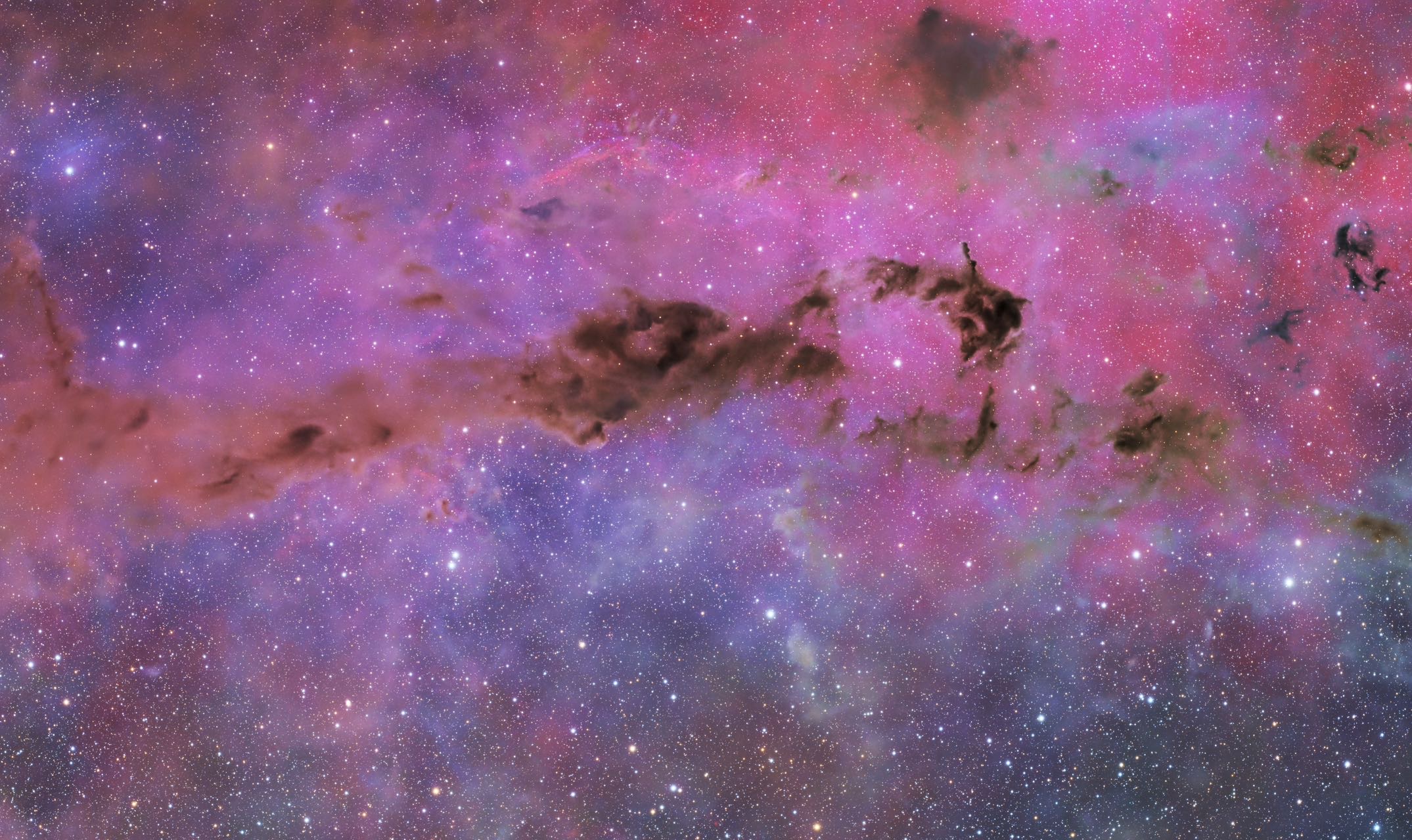 超长曝光124h暗星云LDN1401（日图素材）