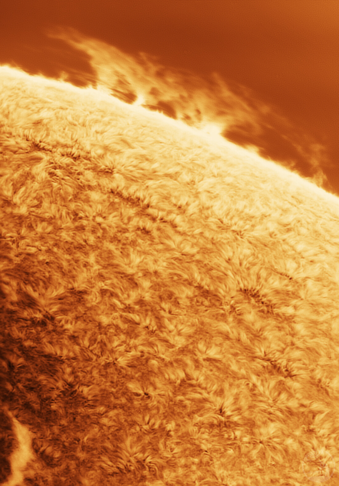 今天的日珥 03-16